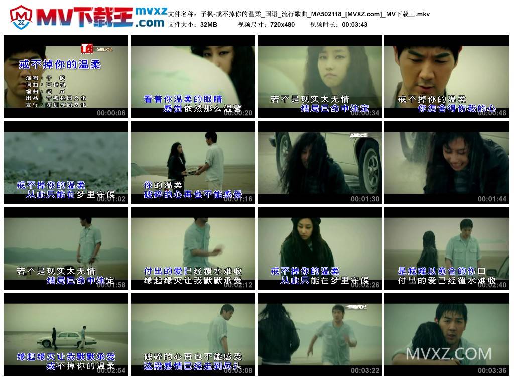 子枫-戒不掉你的温柔_国语_流行歌曲_MA502118